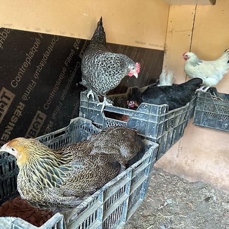 La Villagio Parmain المظهر الخارجي الصورة
