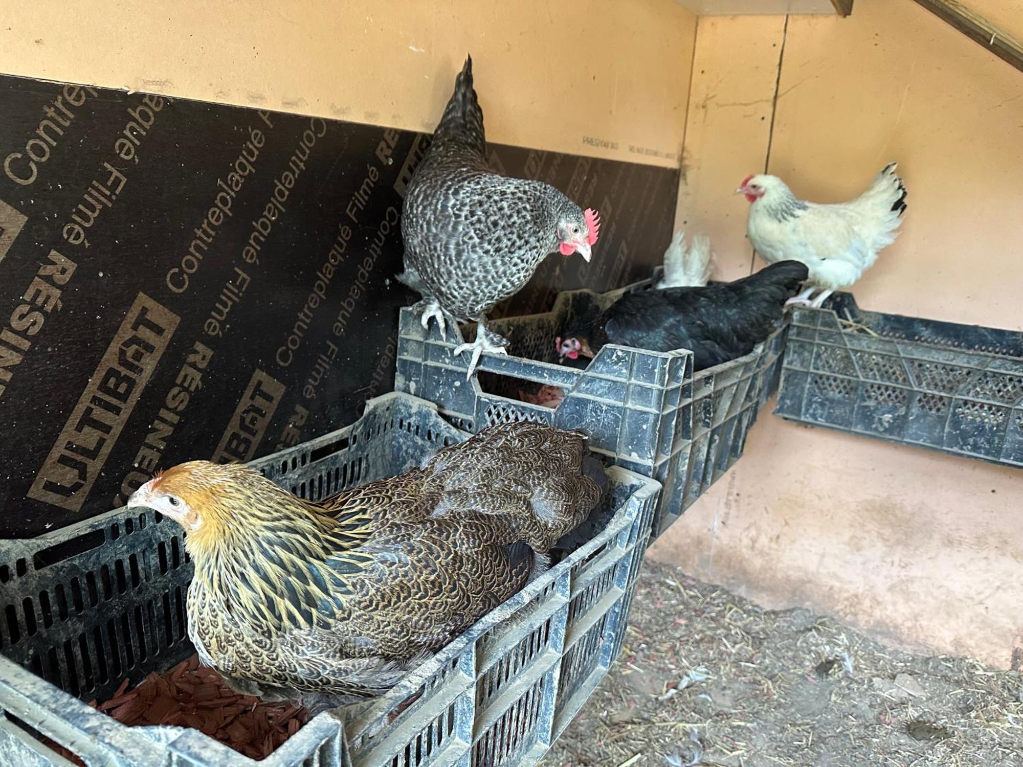 La Villagio Parmain المظهر الخارجي الصورة